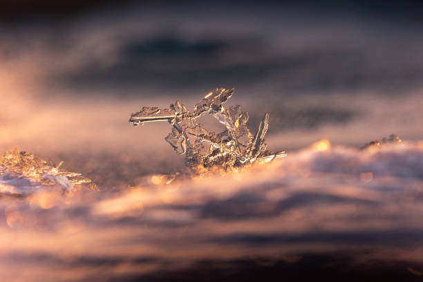 istock Gilded Winter: Translucent Ice Awakens in Golden Sunrise 1491426946