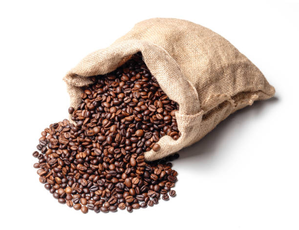 istock Roasted coffee beans in a jute sack 1491427714