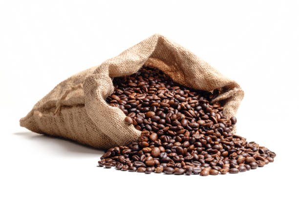istock Roasted coffee beans in a jute sack 1491427716