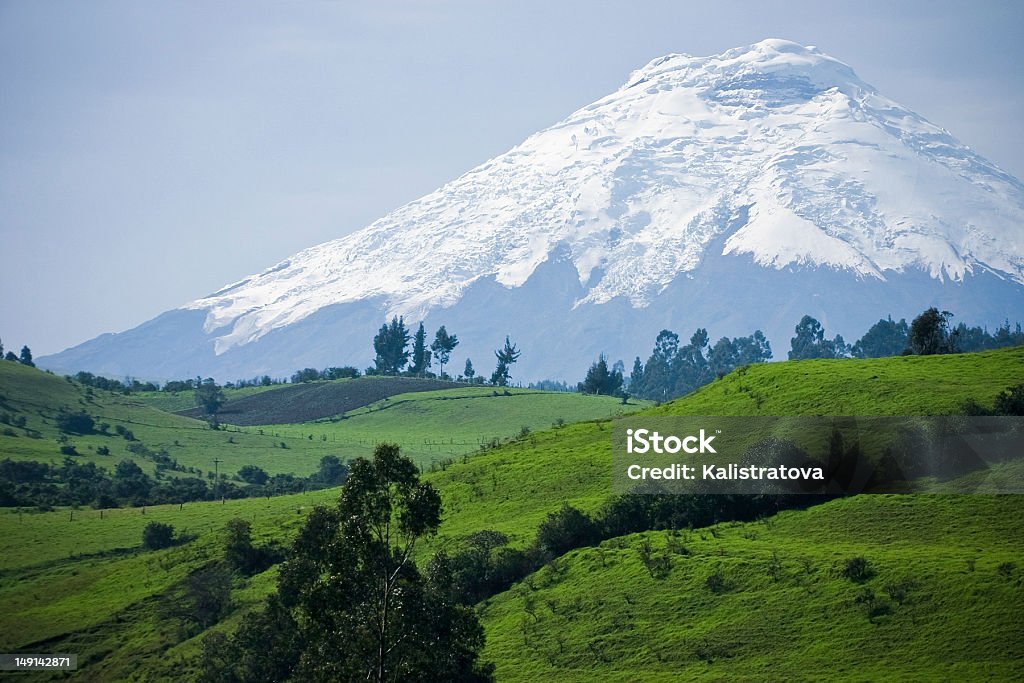 Landscape of field in front of Volcano Cotopaxi Volcano Cotopaxi - Ecuador Cotopaxi Stock Photo
