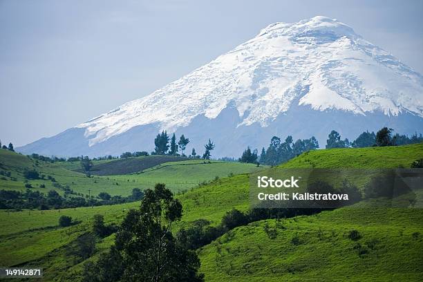 Landscape Of Field In Front Of Volcano Cotopaxi Stock Photo - Download Image Now - Cotopaxi, Ecuador, Volcano
