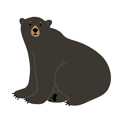 American Black Bear Single cute 21, vector illustration