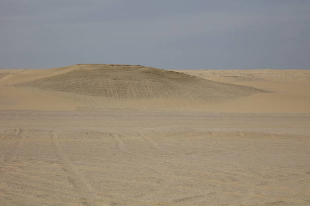 istock desert and sand dunes on a cloudy day 1491429059