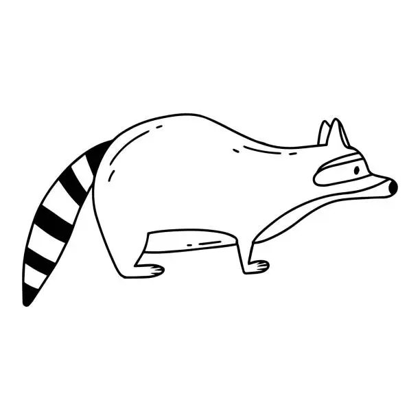 Vector illustration of Childrens illustration of a cute raccoon isolated on a white background. Forest raccoon hand-drawn in doodle style.