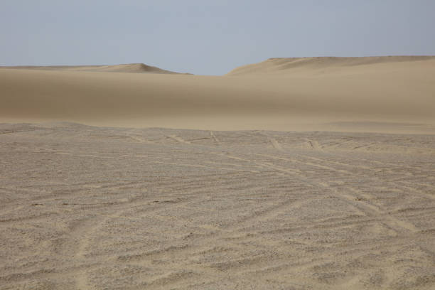 istock desert and sand dunes on a cloudy day 1491430616