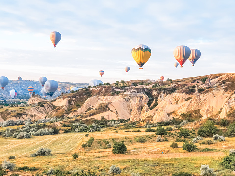 Flying in sky many bright colored beautiful balloons into air in Cappadocia in mountains early at sunrise, dawn. Filling balloon with hot air from burner, big basket. Tourists excursion, cloud flight.