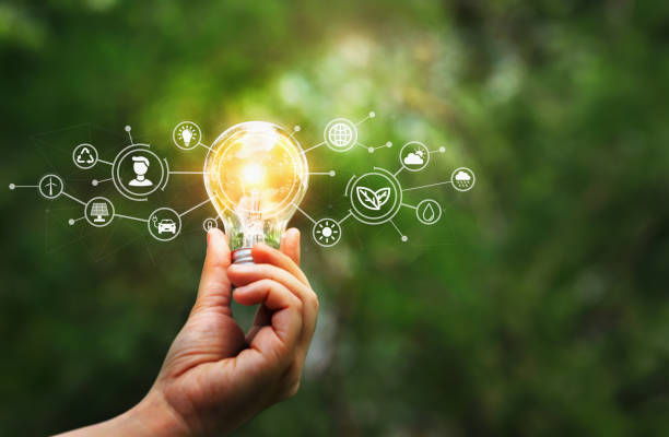 istock Hand holding light bulb on tropical nature background. Ecology and Environment concept. Energy of natural gas sustainable energy sources. 1491440039