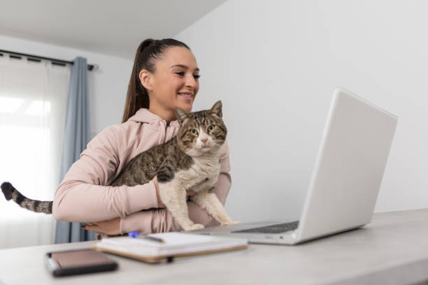 istock Cheerful woman showing cute cat during video call 1491441441