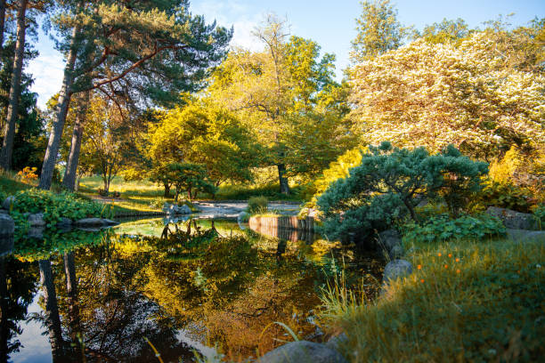 istock Autumn in Botanical garden 1491441508