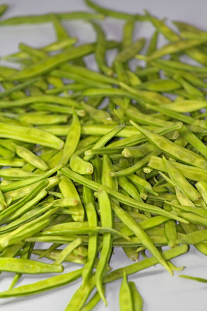 istock Cyamopsis tetragonolobus L, Guar vegetable 1491441626