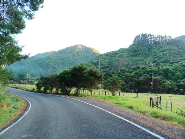 istock Road in the morning 1491442402