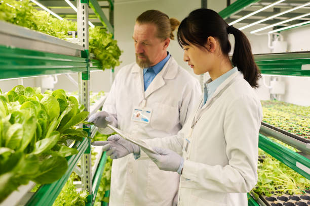 istock Two intercultural agro engineers in lab coats and protective gloves 1491442429