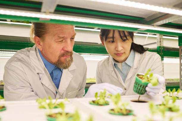 istock Two biotechnologists in lab coats studying characteristics of plants 1491442435