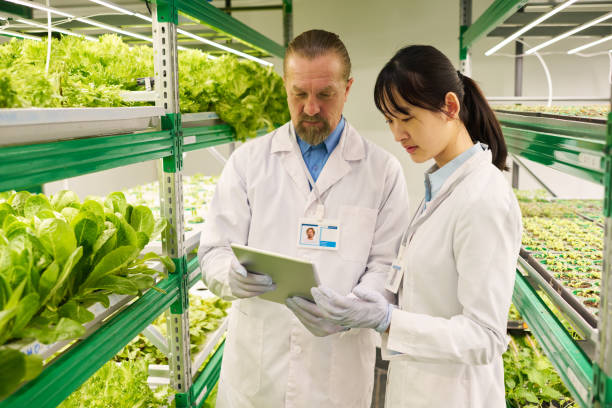 istock Two intercultural scientists looking at tablet screen in vertical farm 1491442437