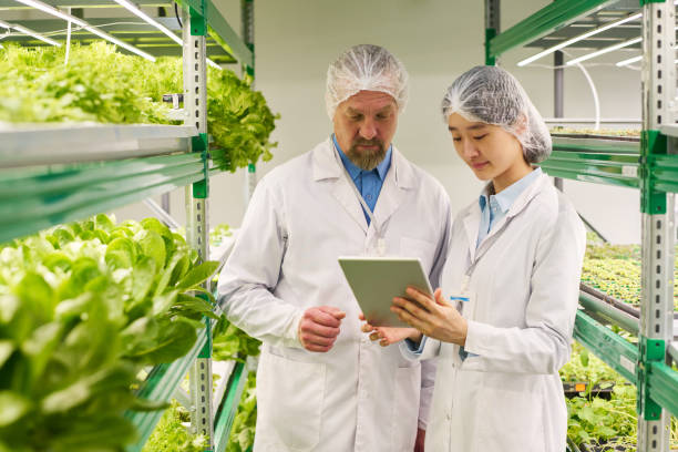istock Male and female agronomists in protective workwear using tablet 1491442446