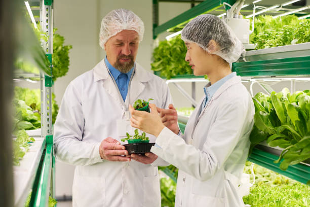 istock Two intercultural professionals in lab coats and caps discussing seedlings 1491442499