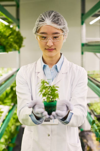 istock Young Asian female scientist in lab coat looking at seedling in her hands 1491442527