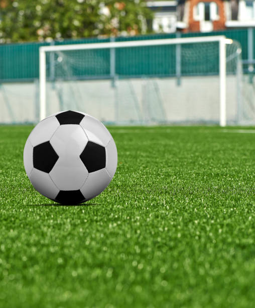 istock Black and white Soccer ball on grass field 1491451342