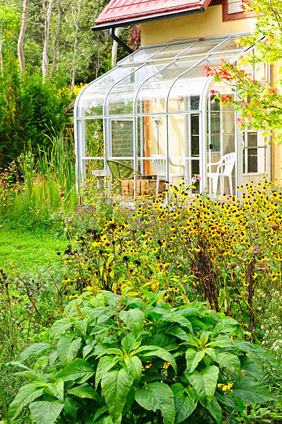istock Solarium and garden at home 149145273
