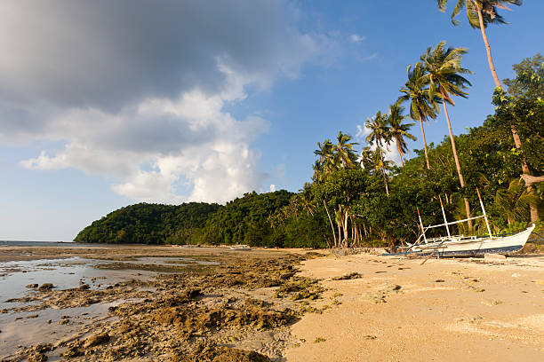 litoral paisagem com a maré sair - tide going out - fotografias e filmes do acervo