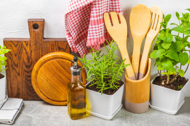 istock Assorted fresh herbs growing in pots against a white wall.Close-up.Green basil, mint. oregano, thyme and rosemary. Mixed fresh aromatic herbs in pots.Set of culinary herbs.Copy space.Gardening concept 1491455089