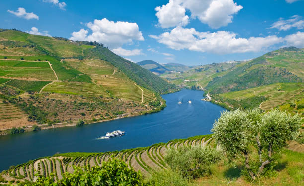 vista della famosa valle del douro nel nord del portogallo. - the douro foto e immagini stock