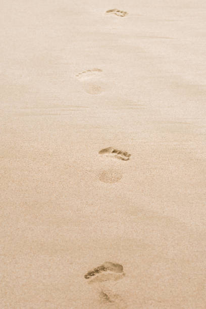 istock Beautiful sandy beach, footsteps on the shore. 1491458335