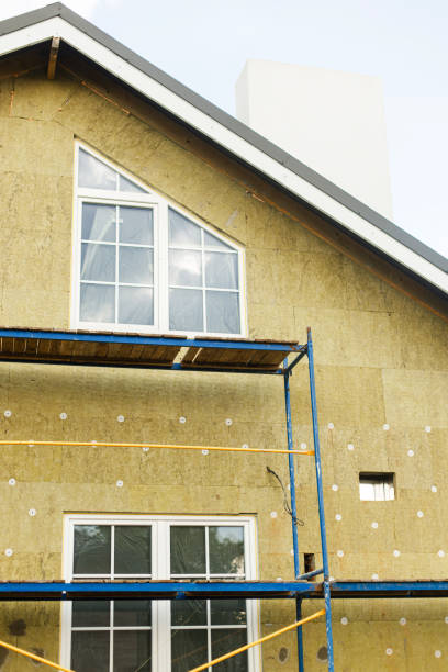 istock Facade insulation with mineral wool, thermal improvement and energy saving. Modern farmhouse renovation, scaffolding platform and stone wool panels. House insulation concept 1491459104