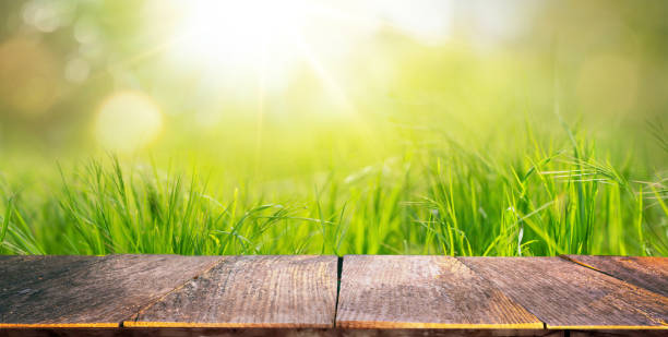 istock Original background image with a wooden base and grass in the background. 1491459184