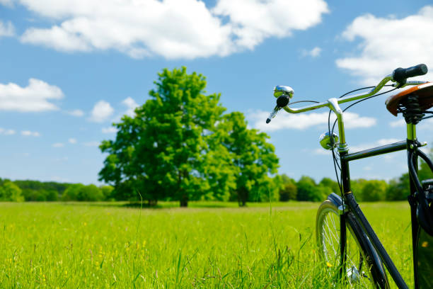 ドイツのケルンの緑の町の森に自転車で - human powered vehicle ストックフォトと画像