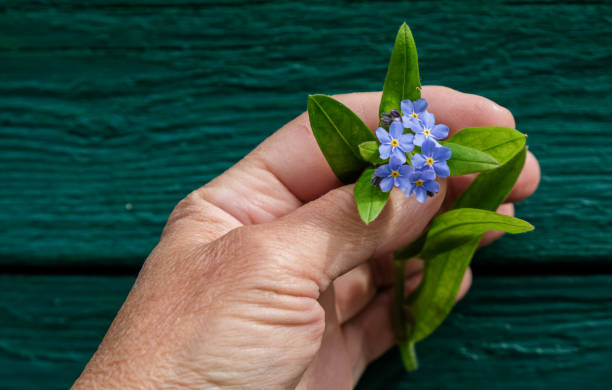 women hand stroking flowers