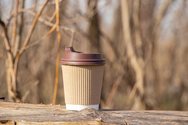 istock brown paper coffee cup stands in the forest on a sunny day 1491464341