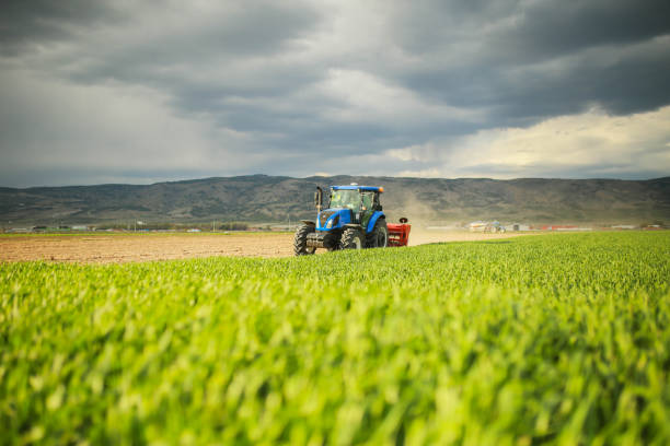 old farm tractor stuck in field mud