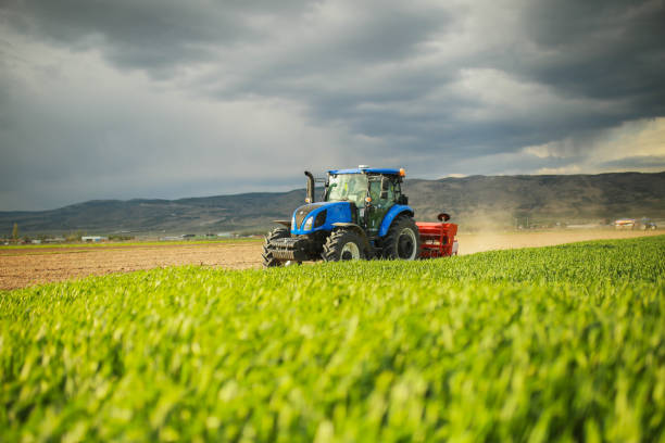 young farmer planting corn in the field with tractor and seeder