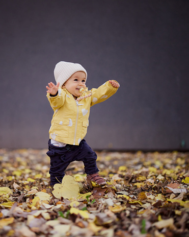 Happy baby girl about to fall on autumn leaves in nature. Part of chronological photo series of growing up.