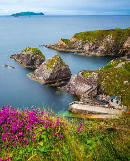 Dunquin pier Dunquin pier near Dingle in County Kerry, Ireland. dingle peninsula stock pictures, royalty-free photos & images