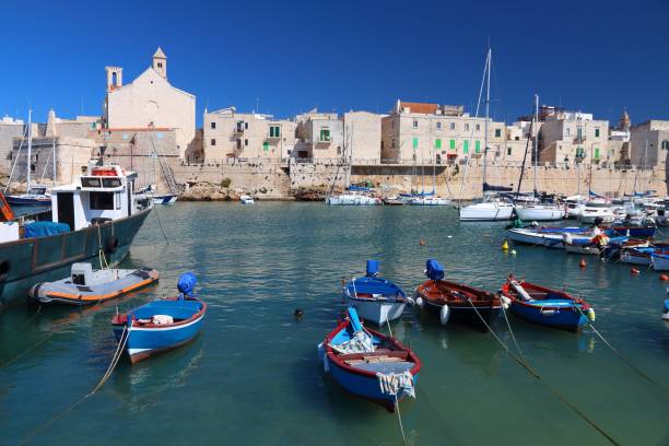 istock Fishing harbor Giovinazzo, Italy 1491468318