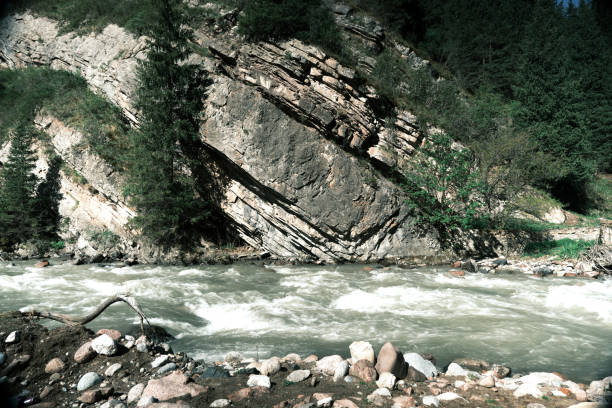 istock Big river is flowing in mountain valley 1491470480