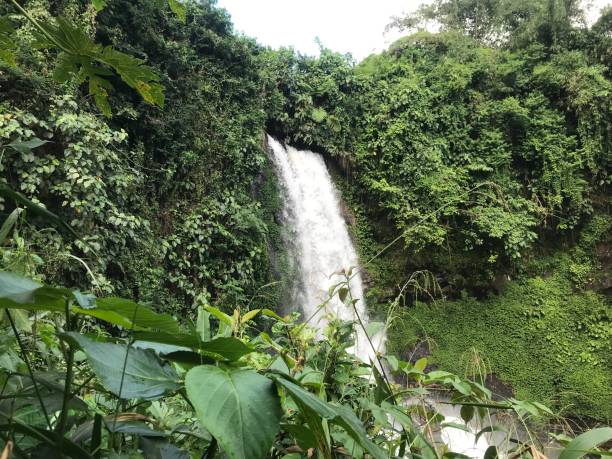 istock very natural view of the waterfall 1491474262