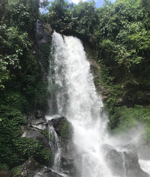 istock very natural view of the waterfall 1491474275