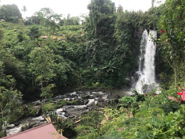 istock very natural view of the waterfall 1491474627