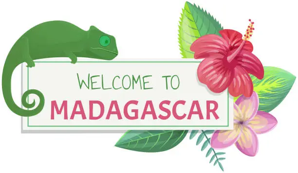 Vector illustration of Welcome to madagascar banner with hand written word, funny animal chameleon, flowers and leaves