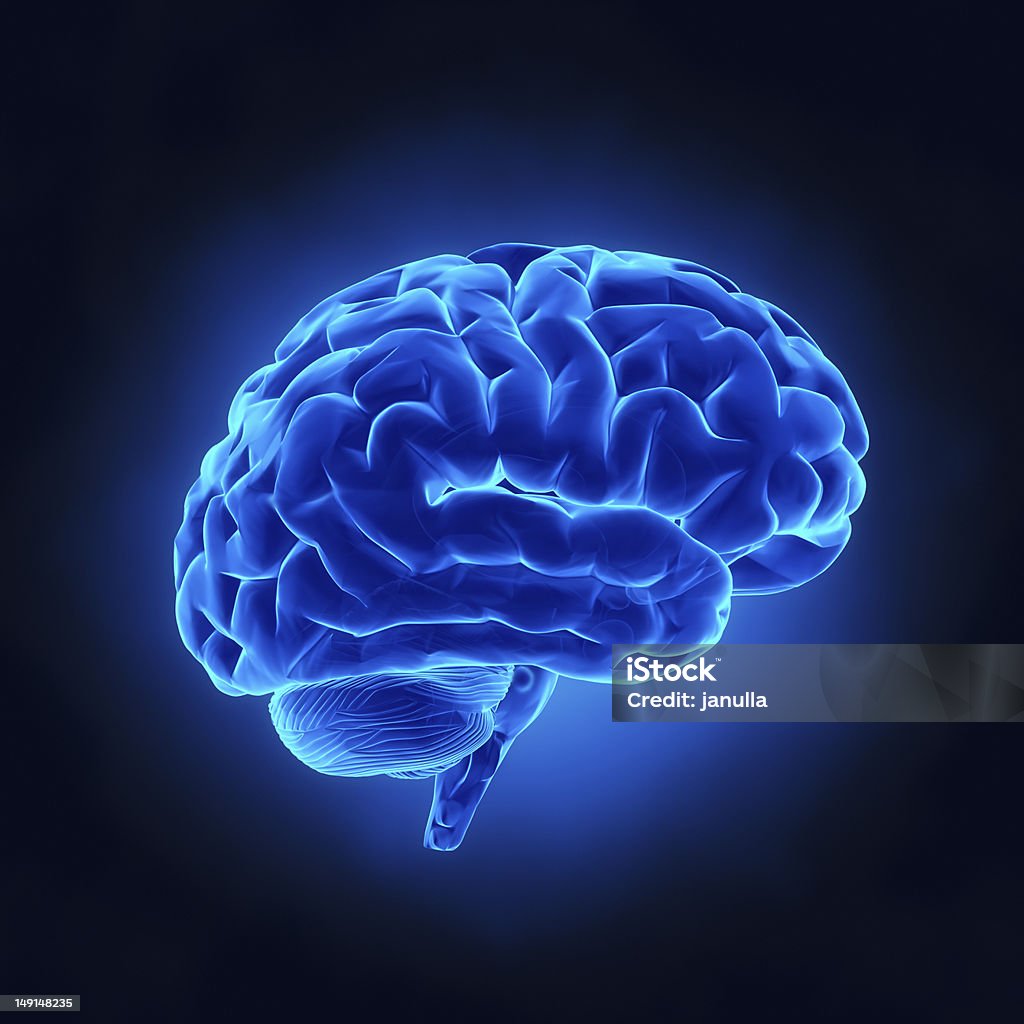 Human brain in blue x-ray view http://www.theeuphoria.com/01b.jpg Blue Stock Photo