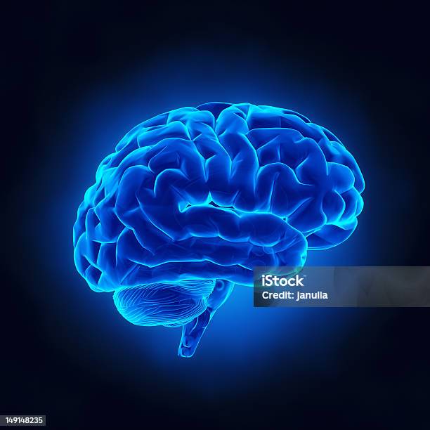 Human Brain In Blue Xray View Stock Photo - Download Image Now - Blue, X-ray Image, Photography