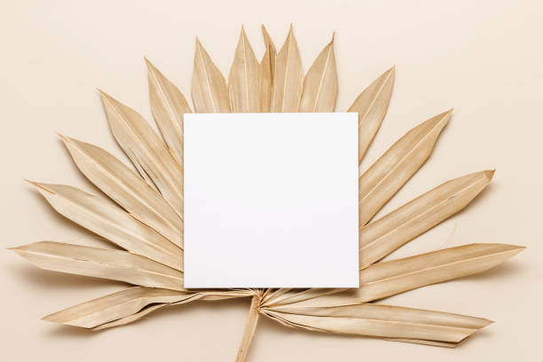 istock Blank paper mockup card on palm leaf on neutral beige background 1491483491