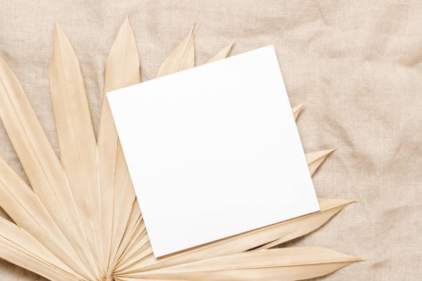 istock Minimal blank paper sheet card with copy space on dried palm leaf on beige linen cloth 1491484040