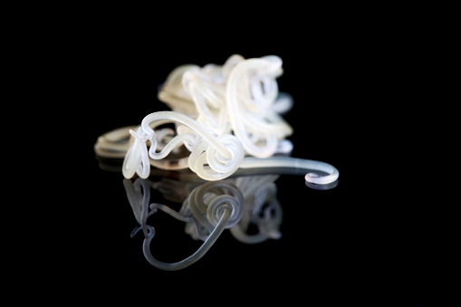 A group of entangled Anisakis parasitic worms, on a black background.. Selective focus.