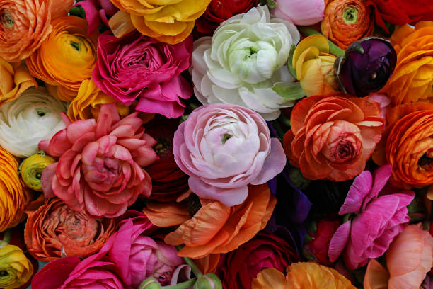 istock Bunch of colorful flowers. 1491484796