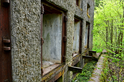 A close up on a bunker or bomb shelter being a remnant of World War II covered with moss and other flora located in the middle of a dense forest or moor next to a small dirt path in Poland