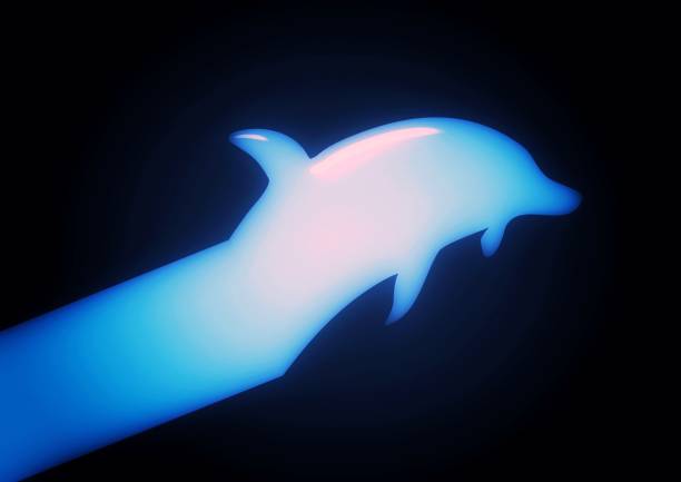 cavorting dolphins cross paths vertically at the surface of the the Caribbean